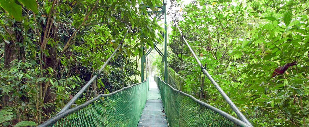 tirimbina suspennsion bridge
 - Costa Rica