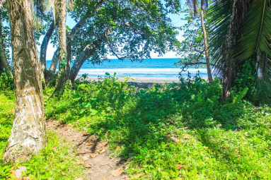 playa negra green 
 - Costa Rica
