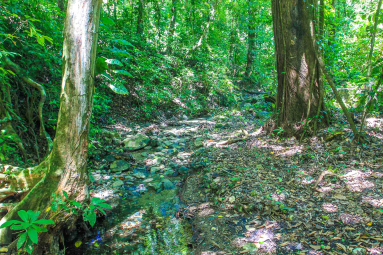 Creek
 - Costa Rica