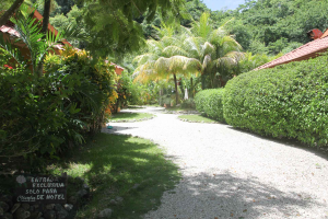Ritmo Tropical Hotel Grounds Ritmo Tropical
 - Costa Rica