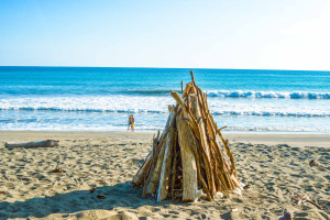 Wood Ready For A Night Fire At Carate Beach
 - Costa Rica