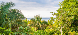 View From Finca Exotica Restaurant
 - Costa Rica