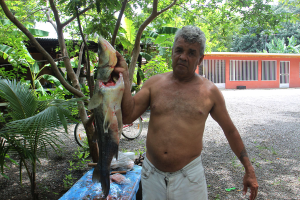 alexis with seabass 
 - Costa Rica