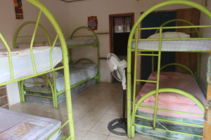 bunk bed shared rooms casa del mar hostel 
 - Costa Rica