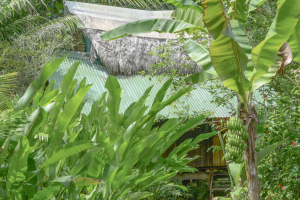 Cabin Front At Finca Exotica Carate
 - Costa Rica