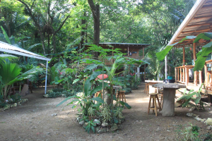 casa del mar hostel grounds 
 - Costa Rica