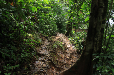 posa azul waterfall trail 
 - Costa Rica