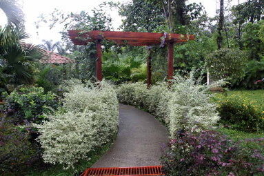 paradise hotsprings walking into gardens 
 - Costa Rica