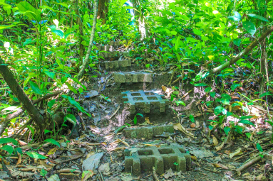 Trail Steps
 - Costa Rica