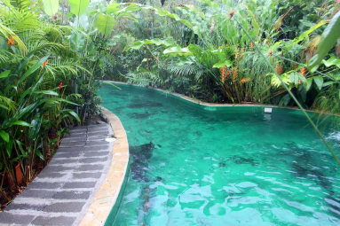 paradise hotsprings second pool 
 - Costa Rica