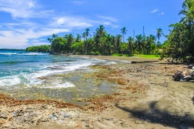 playa negra coral 
 - Costa Rica